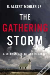 Capa do artigo Gathering Storm