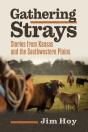 Gathering Strays - Preview