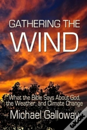 Capa do artigo Gathering The Wind