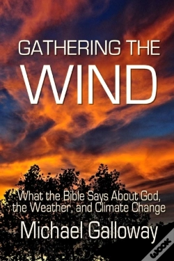 Capa do artigo Gathering The Wind