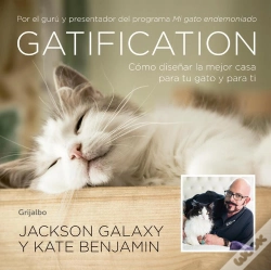 Capa do artigo Gatification