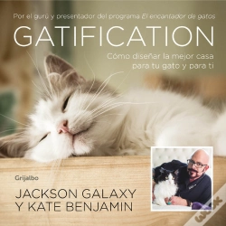 Capa do artigo Gatification