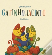 Gatinho Jacinto
