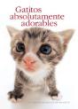 Gatitos Absolutamente Adorables - Preview