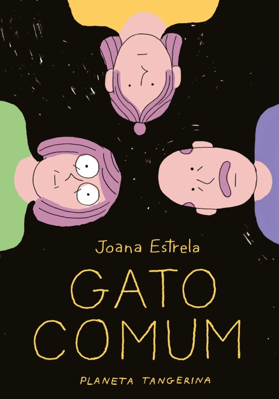  Gato Comum
