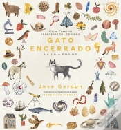 Capa do artigo Gato Encerrado