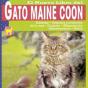 Gato Maine Coon - Preview