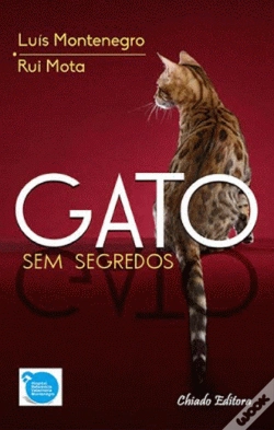 Capa do artigo Gato Sem Segredos