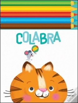Capa do artigo Gato