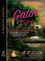 Gator Bowl - Preview