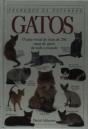 Gatos - Preview