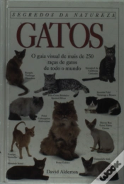 Capa do artigo Gatos