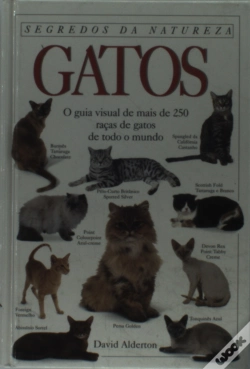 Capa do artigo Gatos