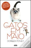 Gatos em Maio