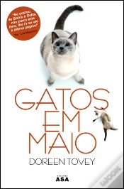 Capa do artigo Gatos em Maio