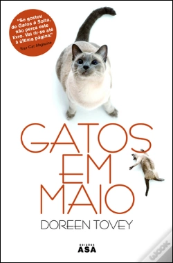 Capa do artigo Gatos em Maio