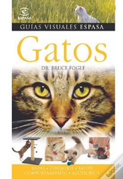 Capa do artigo Gatos