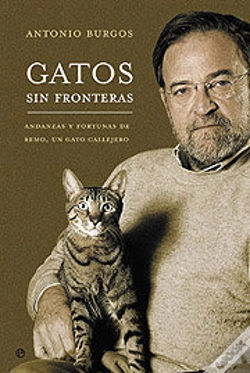 Capa do artigo Gatos Sin Fronteras