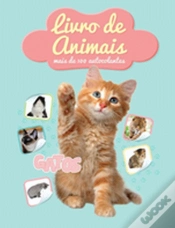 Capa do artigo Gatos