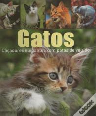 Gatos