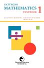 Gattegno Mathematics Textbook 1 - Preview