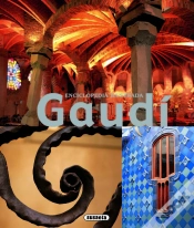 Capa do artigo Gaudí