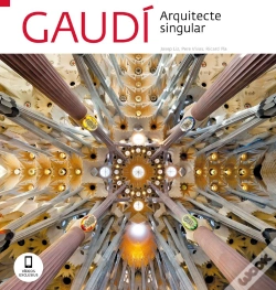 Capa do artigo Gaudi
