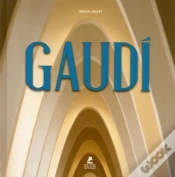 Capa do artigo Gaudi
