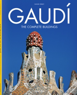 Capa do artigo Gaudi