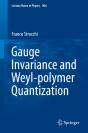 Gauge Invariance And Weyl-Polymer Quantization - Preview