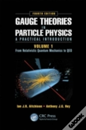 Gauge Theories In Particle Physics: A Practical Introduction, Volume 1