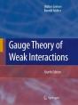 Gauge Theory Of Weak Interactions - Preview