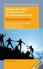 Capa do artigo Gauging The Value Of Education For Disenfranchised Youth