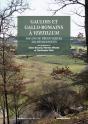 Gaulois Et Gallo-Romains A Vertillium. 1 - Preview