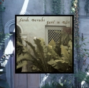 Capa do artigo Gave in Rest - CD