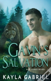 Gavin'S Salvation