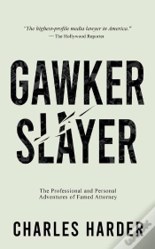 Capa do artigo Gawker Slayer