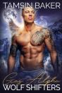 Gay Alpha Wolf Shifters - Preview