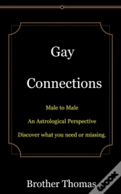Capa do artigo Gay Connections