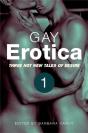 Gay Erotica, Volume 1 - Preview