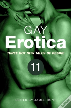 Capa do artigo Gay Erotica, Volume 11