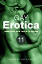Gay Erotica, Volume 11 - Preview