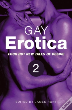 Capa do artigo Gay Erotica, Volume 2
