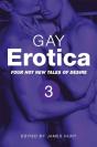 Gay Erotica, Volume 3 - Preview