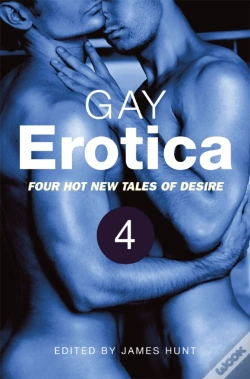 Capa do artigo Gay Erotica, Volume 4