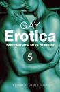 Gay Erotica, Volume 5 - Preview