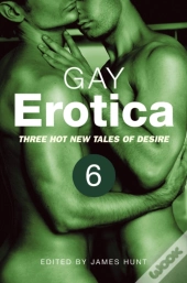 Gay Erotica, Volume 6