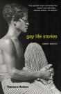 Gay Life Stories B Format Paperbac - Preview
