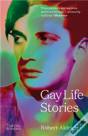 Capa do artigo Gay Life Stories