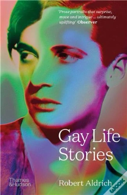 Capa do artigo Gay Life Stories